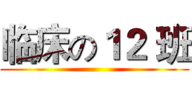 临床の１２ 班 ()