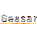 Ｓｅａｓａｒ (Switch Ltd.　)