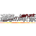 進撃の峰晓蔡 (attack on titan)