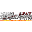 進撃の杨杨 (attack on matt neoh)