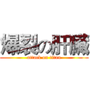 爆裂の肝臟 (attack on titan)