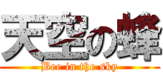 天空の蜂 (Bee in the sky)