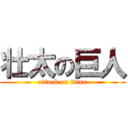 壮太の巨人 (attack on titan)