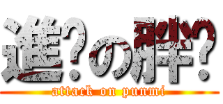 進擊の胖咪 (attack on punmi)