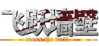 飞跃墙壁 (cross the wall )