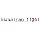 Ｓｕｍａｔｒａｎ Ｔｉｇｅｒｓ (Endangered Speices)