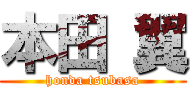 本田 翼 (honda tsubasa)