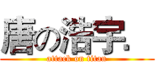 唐の浩宇． (attack on titan)