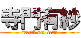 寺門有紗 (attack on titan)