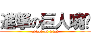進撃の巨人曉瑄 (attack on titan)