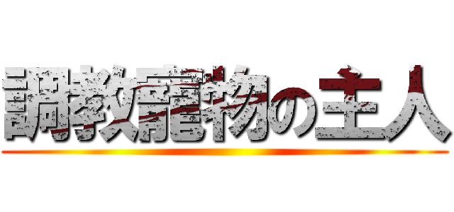 調教寵物の主人 ()