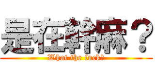 是在幹麻？ (What the fuck?)