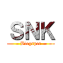 ＳＮＫ (Blogspot)