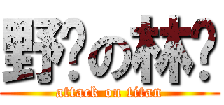 野兽の林轩 (attack on titan)