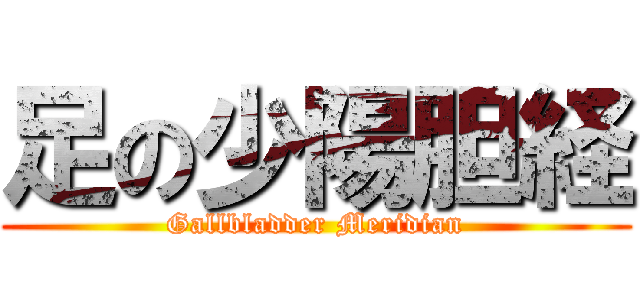 足の少陽胆経 (Gallbladder Meridian)