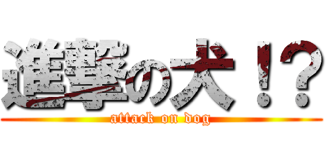 進撃の犬！？ (attack on dog)