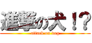 進撃の犬！？ (attack on dog)