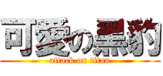 可愛の黑豹 (attack on titan)