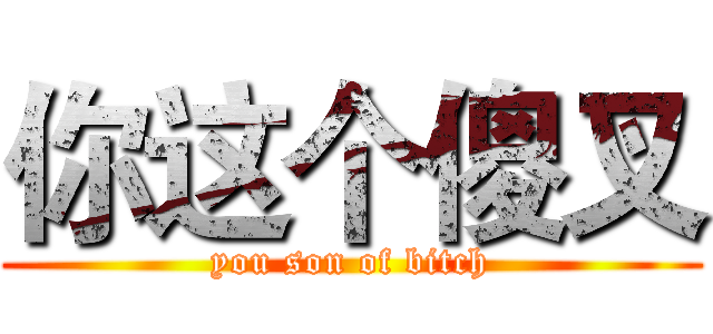 你这个傻叉 (you son of bitch)