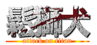 鬆獅犬 (attack on titan)