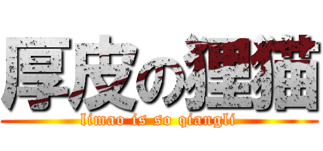 厚皮の狸猫 (limao is so qiangli)