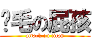 搞毛の屁孩 (attack on titan)