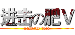 进击の肥Ｖ (what the fuck)