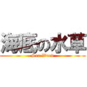 海底の水草 (Sea Weed)