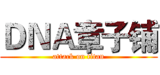 ＤＮＡ章子铺 (attack on titan)