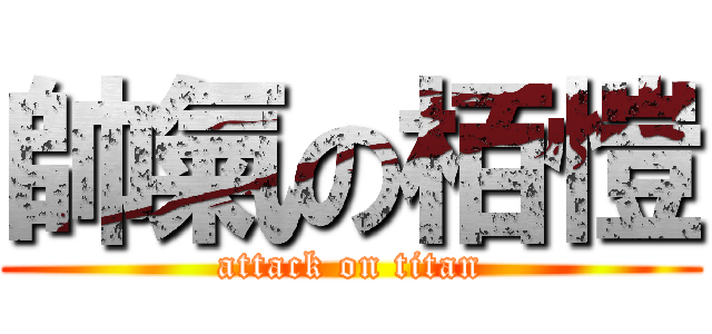 帥氣の栢愷 (attack on titan)