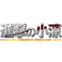 進撃の小涼 (attack on titan)