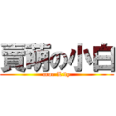 賣萌の小白 (moe Lily)