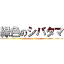 緑色のシバタマ (attack on titan)