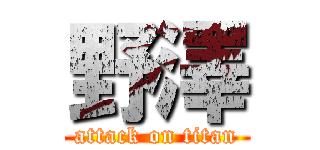 野澤 (attack on titan)