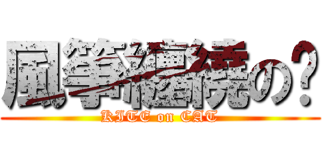 風箏纏繞の貓 (KITE on CAT)