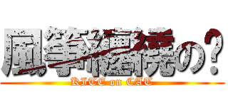 風箏纏繞の貓 (KITE on CAT)