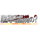 風箏纏繞の貓 (KITE on CAT)