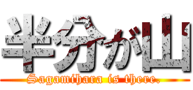 半分が山 (Sagamihara is there.)