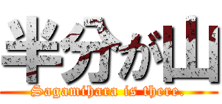 半分が山 (Sagamihara is there.)