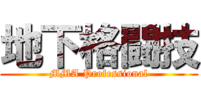 地下格闘技 (MMA Professional)