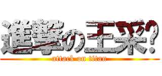 進撃の王采妮 (attack on titan)