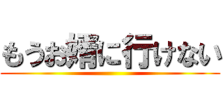 もうお婿に行けない ()