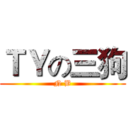 ＴＹの三狗 (N B)