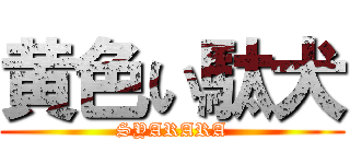 黄色い駄犬 (SYARARA)