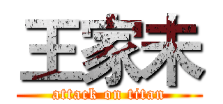 王家未 (attack on titan)