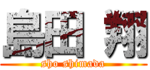 島田 翔 (sho shimada)