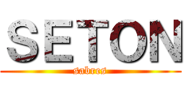 ＳＥＴＯＮ (sabres)