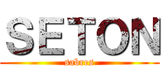 ＳＥＴＯＮ (sabres)