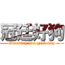 冠廷好狗 (Guanting is a good dog)