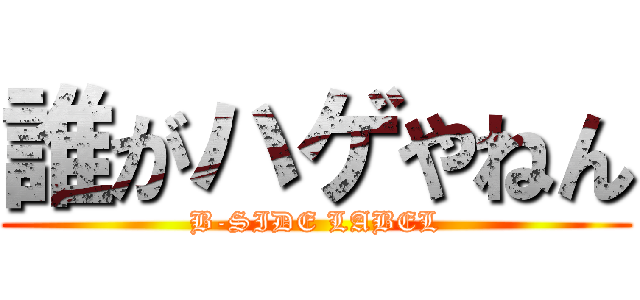 誰がハゲやねん (B-SIDE LABEL)